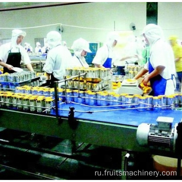 Peach/Cucumber Conneced Production Line